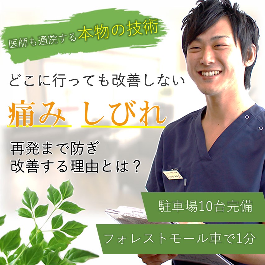 病院や整体に行っても変化を感じない慢性的な「肩こり」「腰痛」なぜ、たった１０分の無痛整体で、無痛整体で改善し再発まで防ぐことができるのか「岩出の整体」